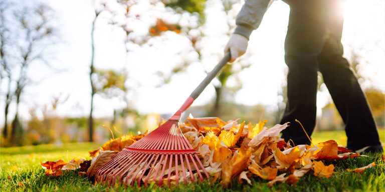 TM-Bolz-Dienstleistungen-Startseite-Gruen-Grau-Pflege